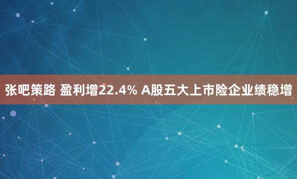 张吧策路 盈利增22.4% A股五大上市险企业绩稳增